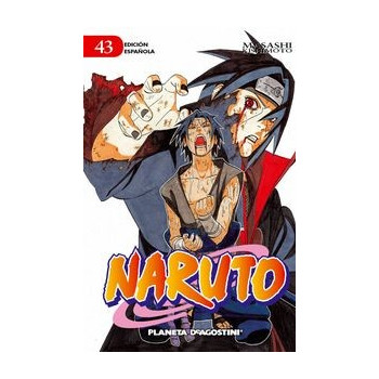 NARUTO 43