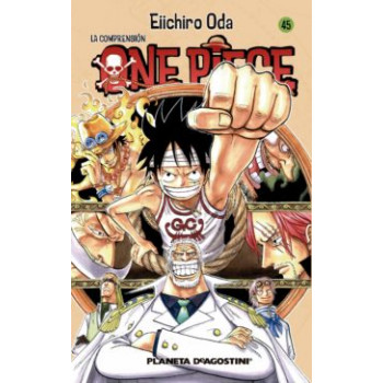 ONE PIECE 45