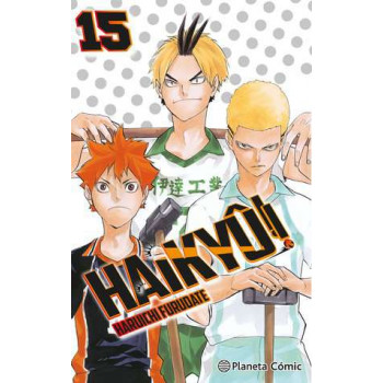 HAIKYU!! 15