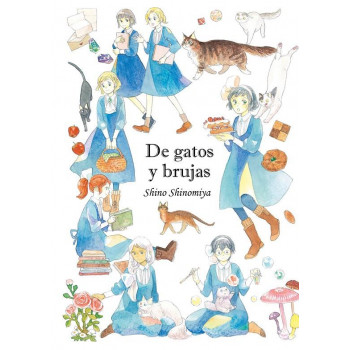 DE GATOS Y BRUJAS
