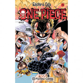ONE PIECE 79