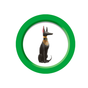 FICHA PERRO -  7 WONDERS...