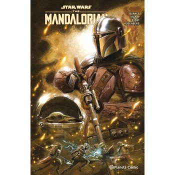 STAR WARS THE MANDALORIAN...