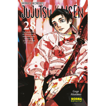 JUJUTSU KAISEN 28
