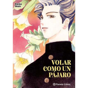 VOLAR COMO UN PÁJARO