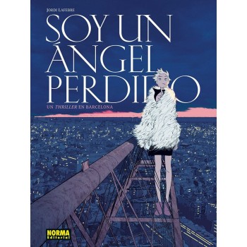 SOY UN ANGEL PERDIDO