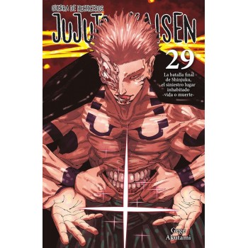 JUJUTSU KAISEN 29