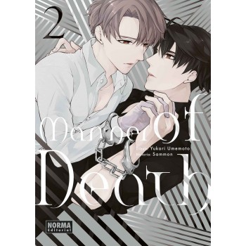 MANNER OF DEATH 02