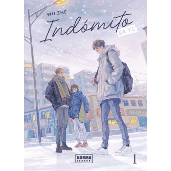 INDOMITO SA YE 01