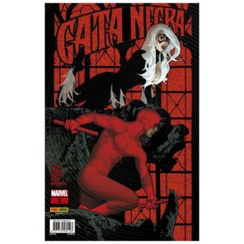 GATA NEGRA 02