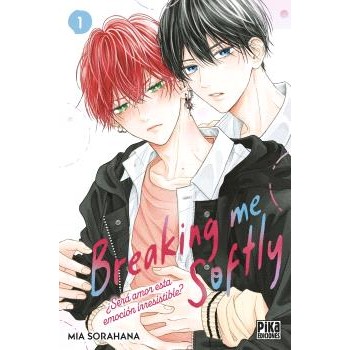 BREAKING ME SOFTLY. ¿SERA...