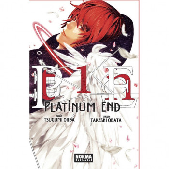 PLATINUM END 01