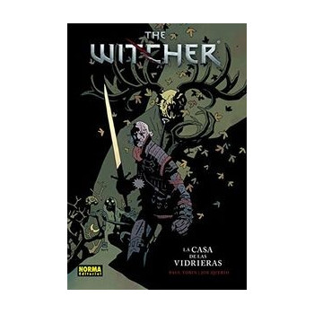 THE WITCHER 01 LA CASA DE...