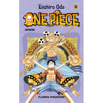 ONE PIECE 30
