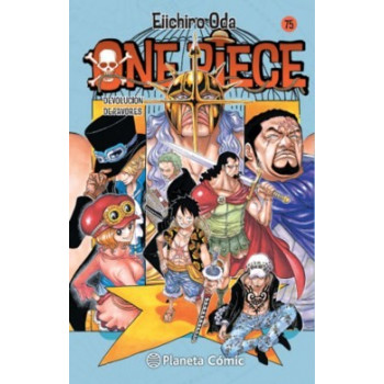 ONE PIECE 75