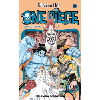 ONE PIECE 49