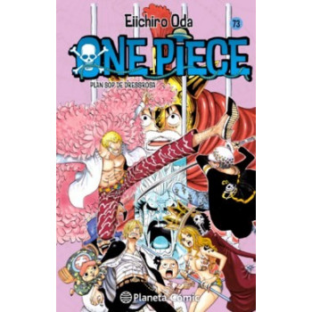ONE PIECE 73